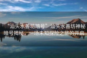 “汕頭水善坊暗號”汕頭水善坊神秘暗號揭秘，一場未知探險之旅的開啟