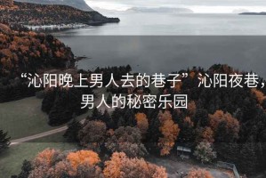 “沁陽晚上男人去的巷子”沁陽夜巷，男人的秘密樂園