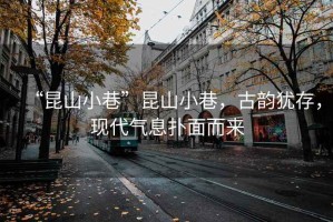 “昆山小巷”昆山小巷，古韻猶存，現代氣息撲面而來