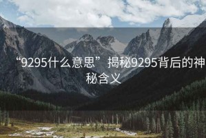 “9295什么意思”揭秘9295背后的神秘含義