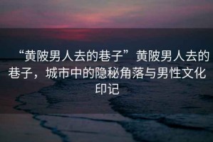 “黃陂男人去的巷子”黃陂男人去的巷子，城市中的隱秘角落與男性文化印記
