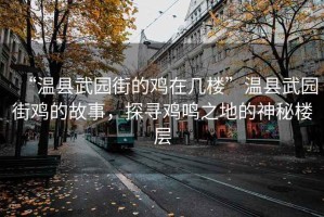 “溫縣武園街的雞在幾樓”溫縣武園街雞的故事，探尋雞鳴之地的神秘樓層