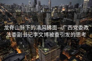 龍脊山脈下的清風(fēng)拂面—廣西黨委政法委副書記李文博被查引發(fā)的思考