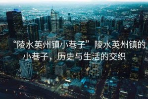 “陵水英州鎮小巷子”陵水英州鎮的小巷子，歷史與生活的交織