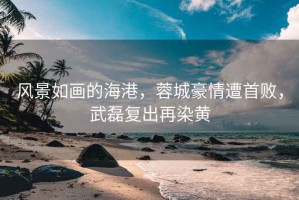 風(fēng)景如畫(huà)的海港，蓉城豪情遭首敗，武磊復(fù)出再染黃