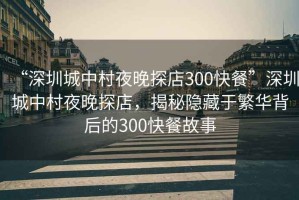 “深圳城中村夜晚探店300快餐”深圳城中村夜晚探店，揭秘隱藏于繁華背后的300快餐故事