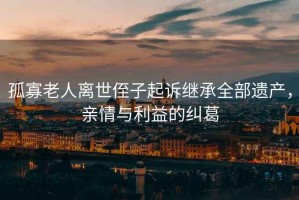 孤寡老人離世侄子起訴繼承全部遺產，親情與利益的糾葛
