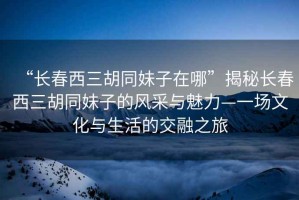 “長春西三胡同妹子在哪”揭秘長春西三胡同妹子的風采與魅力—一場文化與生活的交融之旅