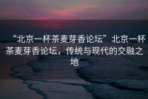 “北京一杯茶麥芽香論壇”北京一杯茶麥芽香論壇，傳統與現代的交融之地