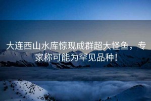 大連西山水庫驚現成群超大怪魚，專家稱可能為罕見品種！