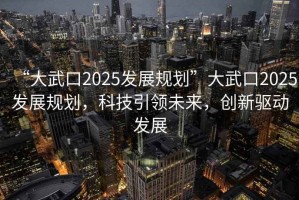 “大武口2025發展規劃”大武口2025發展規劃，科技引領未來，創新驅動發展