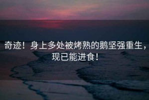 奇跡！身上多處被烤熟的鵝堅強重生，現已能進食！