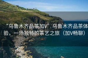 “烏魯木齊品茶加V”烏魯木齊品茶體驗，一場獨特的茶藝之旅（加V暢聊）