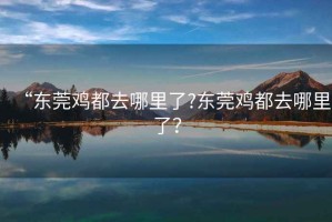 “東莞雞都去哪里了?東莞雞都去哪里了？