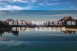 “岷縣皮女一條街在什么地方”揭秘岷縣皮女一條街的真實位置