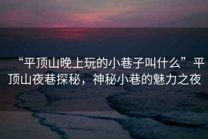 “平頂山晚上玩的小巷子叫什么”平頂山夜巷探秘，神秘小巷的魅力之夜