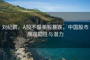 劉紀鵬，A股不懼美股暴跌，中國股市展現韌性與潛力