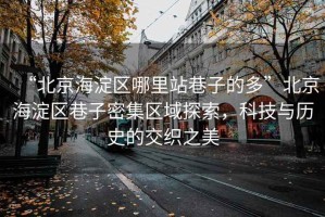 “北京海淀區(qū)哪里站巷子的多”北京海淀區(qū)巷子密集區(qū)域探索，科技與歷史的交織之美