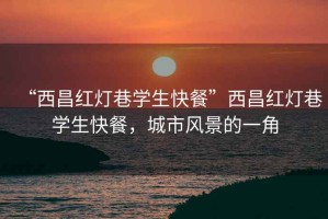 “西昌紅燈巷學生快餐”西昌紅燈巷學生快餐，城市風景的一角