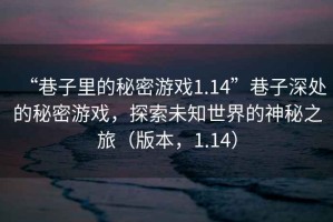“巷子里的秘密游戲1.14”巷子深處的秘密游戲，探索未知世界的神秘之旅（版本，1.14）