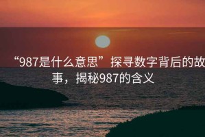 “987是什么意思”探尋數(shù)字背后的故事，揭秘987的含義