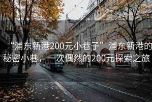 “浦東新港200元小巷子”浦東新港的秘密小巷，一次偶然的200元探索之旅