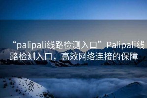 “palipali線路檢測入口”Palipali線路檢測入口，高效網絡連接的保障