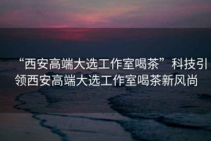 “西安高端大選工作室喝茶”科技引領西安高端大選工作室喝茶新風尚