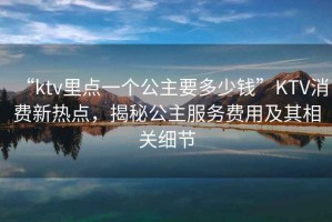 “ktv里點(diǎn)一個(gè)公主要多少錢”KTV消費(fèi)新熱點(diǎn)，揭秘公主服務(wù)費(fèi)用及其相關(guān)細(xì)節(jié)