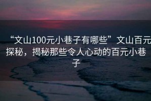 “文山100元小巷子有哪些”文山百元探秘，揭秘那些令人心動的百元小巷子