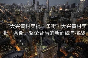 “大興黃村賣批一條街”大興黃村賣批一條街，繁榮背后的新面貌與挑戰