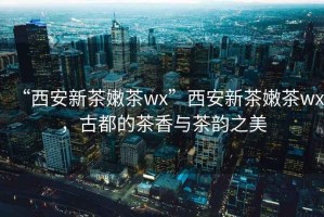 “西安新茶嫩茶wx”西安新茶嫩茶wx，古都的茶香與茶韻之美