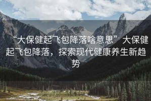 “大保健起飛包降落啥意思”大保健起飛包降落，探索現代健康養生新趨勢