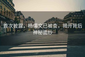 首次披露，楊儒文已被查，揭開背后神秘面紗