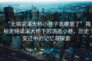 “無錫梁溪大橋小巷子去哪里了”揭秘無錫梁溪大橋下的消逝小巷，歷史變遷中的記憶與探索