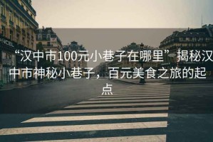 “漢中市100元小巷子在哪里”揭秘漢中市神秘小巷子，百元美食之旅的起點