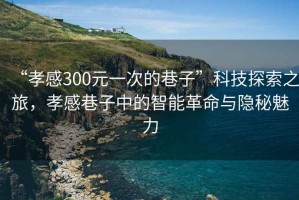 “孝感300元一次的巷子”科技探索之旅，孝感巷子中的智能革命與隱秘魅力