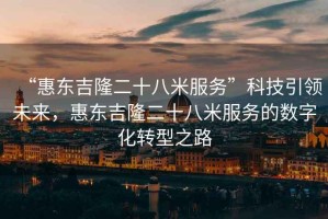 “惠東吉隆二十八米服務”科技引領未來，惠東吉隆二十八米服務的數字化轉型之路