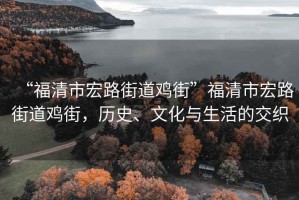 “福清市宏路街道雞街”福清市宏路街道雞街，歷史、文化與生活的交織