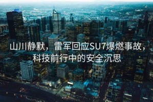 山川靜默，雷軍回應SU7爆燃事故，科技前行中的安全沉思