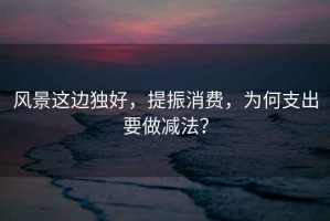 風景這邊獨好，提振消費，為何支出要做減法？
