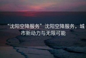 “沈陽(yáng)空降服務(wù)”沈陽(yáng)空降服務(wù)，城市新動(dòng)力與無(wú)限可能