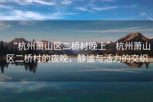 “杭州蕭山區(qū)二橋村晚上”杭州蕭山區(qū)二橋村的夜晚，靜謐與活力的交織