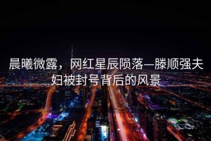 晨曦微露，網紅星辰隕落—滕順強夫婦被封號背后的風景