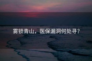 霧鎖青山，醫保漏洞何處尋？