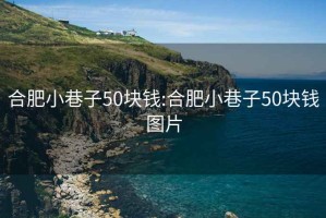 合肥小巷子50塊錢:合肥小巷子50塊錢圖片