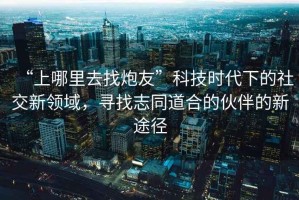 “上哪里去找炮友”科技時代下的社交新領域，尋找志同道合的伙伴的新途徑