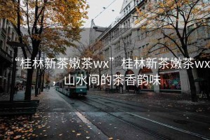“桂林新茶嫩茶wx”桂林新茶嫩茶wx，山水間的茶香韻味