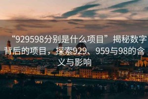 “929598分別是什么項目”揭秘數字背后的項目，探索929、959與98的含義與影響