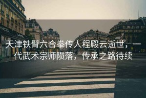 天津鐵臂六合拳傳人程殿云逝世，一代武術(shù)宗師隕落，傳承之路待續(xù)